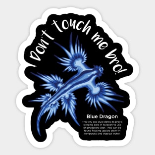 Blue Dragon Sticker